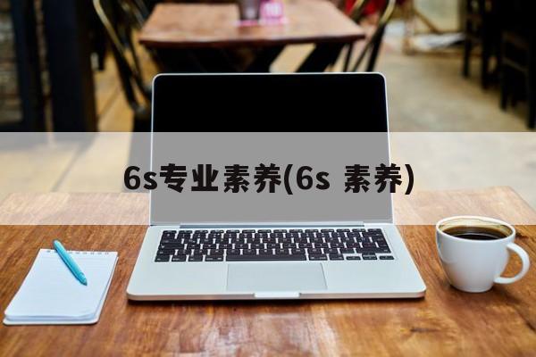 6s专业素养(6s 素养)